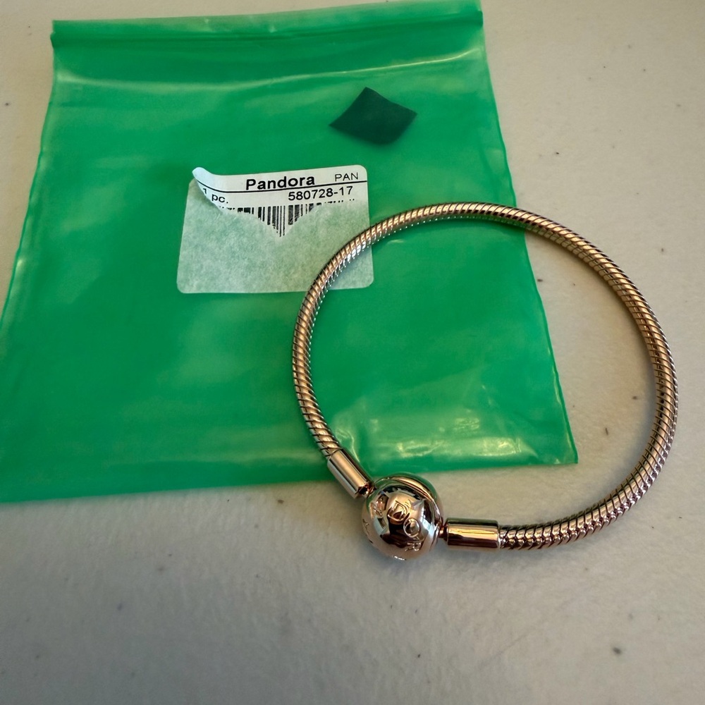 NEW Moments Snake Chain Bracelet- 14k rose gold plating